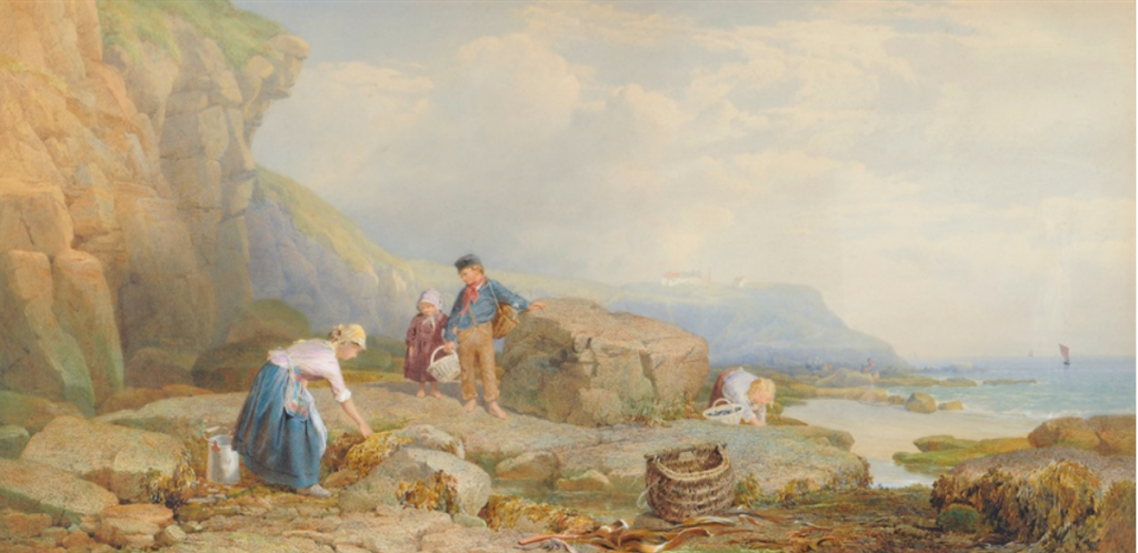 Woman gathering mussels