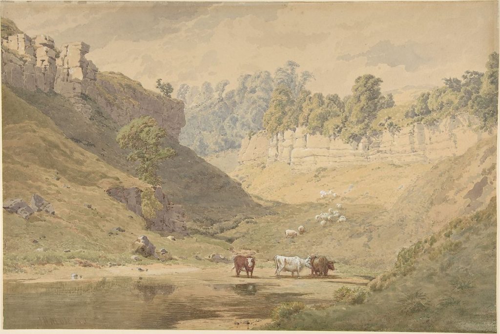 Cattle in a valley